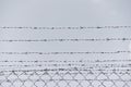 Iron barbed wire fence.Barbwire in security forbidden to entry,prison,military or private area Royalty Free Stock Photo