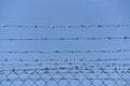 Iron barbed wire fence.Barbwire in security forbidden to entry,prison,military or private area