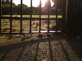 Iron bars and the shadow at daytime Royalty Free Stock Photo
