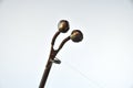 The iron bell for fishing rods Royalty Free Stock Photo