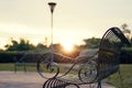 Iron Bench in the Park Royalty Free Stock Photo