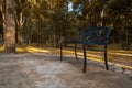 Iron bench in the shady park