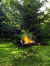 Iron brazier with burning coals Royalty Free Stock Photo