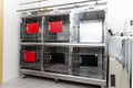 Iron cages for animals in the veterinary clinic