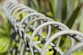 Iron circles on top of a boundary fence