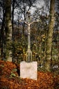 Iron cross in the autum,n wood