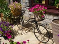 An iron decorative bike stands with beautiful flowers in pots. Rosa Khutor Royalty Free Stock Photo