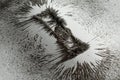 Iron dust showing the magnetic field near a magnet bar on white background