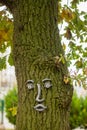 An iron face on a tree trunk. unusual wood decor. Zelenogradsk.