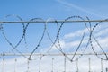 Iron fence with barbed tape on blue sky Royalty Free Stock Photo