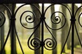 Iron fence details Royalty Free Stock Photo