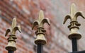 Iron Fence with Gold Fleur De Lis On Top