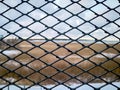 Iron fence with gray sky Royalty Free Stock Photo