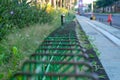 Iron Fence to protect plant