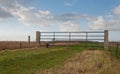 Iron fence between wooden poles