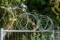 iron fences with barbed wire Royalty Free Stock Photo