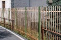 Iron fencing