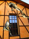Iron fish on hooks, Kamenets Podolskiy, Ukraine