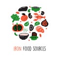 Iron food sources. Vector cartoon illustration of iron rich foods