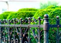 Iron forged fence, wrought iron ornaments,horizontal photo, space for copy,