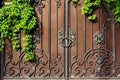 Iron forged gate with rust green leafy plant.