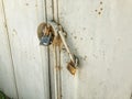 Iron garage doors. Rusty door. Door hinges. Close up shot Royalty Free Stock Photo