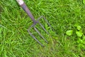 Iron garden pitchfork on the background of green grass in the garden Royalty Free Stock Photo