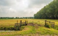 Iron gate on the edge of dried out grassland Royalty Free Stock Photo