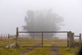 The iron gate and the serene winter morning Royalty Free Stock Photo