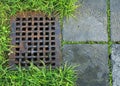 iron grate of a drainage system for storm water drainage from a pedestrian sidewalk near a green lawn. Royalty Free Stock Photo