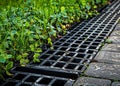 iron grate of a drainage system for storm water drainage from a pedestrian sidewalk near a green lawn. Royalty Free Stock Photo