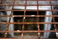 Iron grate, prison Royalty Free Stock Photo