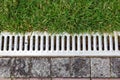 Iron grate of a storm drainage system.