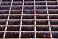 Iron Grate for Drain Rusted Rusty Texture Royalty Free Stock Photo