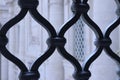 Iron Grid of a Vatican Window, Rome, Italy