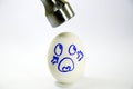 Iron hammer hitting white egg Royalty Free Stock Photo