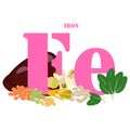 Iron healthy nutrient rich food vector illustration