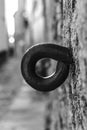 Iron horse tie ring on the wall in the old town of Caceres Royalty Free Stock Photo