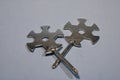 Iron keys with a screwdriver on a gray background.