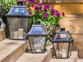 Iron lamps for candles and flowers petunias Royalty Free Stock Photo