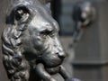 Lion head at Cathedral Saint Lawrence in Genoa