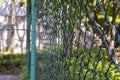 Iron metal steel mesh grid fences Royalty Free Stock Photo