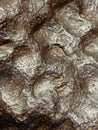 Iron meteorites, also known as siderites, or ferrous meteorites. Meteoric iron,  meteoritic iron Royalty Free Stock Photo