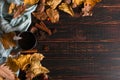 Iron mug with black coffee, spices, on a background of a scarf, dry leaves on a wooden table. Autumn mood, a warming drink. Copy Royalty Free Stock Photo