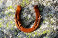 Iron old horseshoe on the mossy stone, forest. Metal rusty lucky