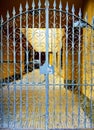 Iron old wrought fence. Forged ornate beautiful pattern grayed gate at yellow building