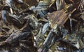 Wolframite (Tungsten ore) Royalty Free Stock Photo