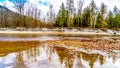 Iron Oxide Stained rocks lining the shore at low water in the Squamish River in British Columbia, Canada