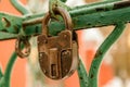 Iron padlock close-up on the green grille gate closed area. Old padlock gate