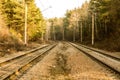 Iron path in the woods. Sunny day. The railway. Forest. Royalty Free Stock Photo